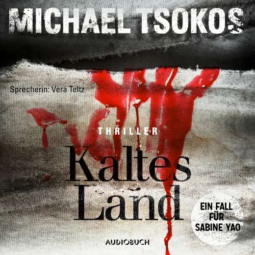 Cover von Michael Tsokos - Kaltes Land - Ein Fall für Sabine Yao