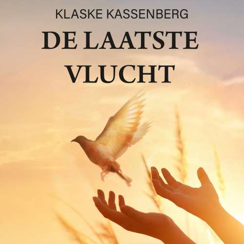 Cover von Klaske Kassenberg - De laatste vlucht