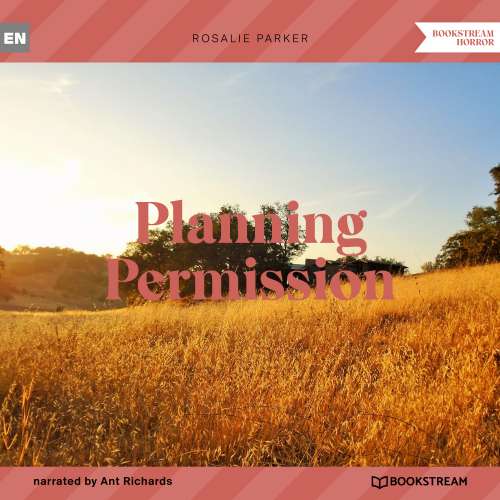 Cover von Rosalie Parker - Planning Permission