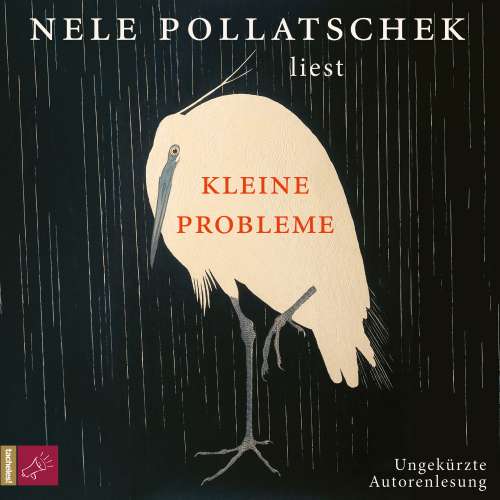 Cover von Nele Pollatschek - Kleine Probleme