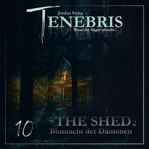Cover - Tenebris - Folge 10 - The Shed 2 - Blutnacht der Dämonen