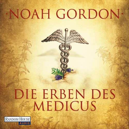 Cover von Noah Gordon - Die Medicus-Reihe - Folge 3 - Die Erben des Medicus