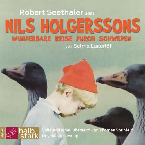 Cover von Selma Lagerlöf - Nils Holgerssons wunderbare Reise durch Schweden