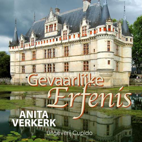 Cover von Anita Verkerk - Gevaarlijke erfenis