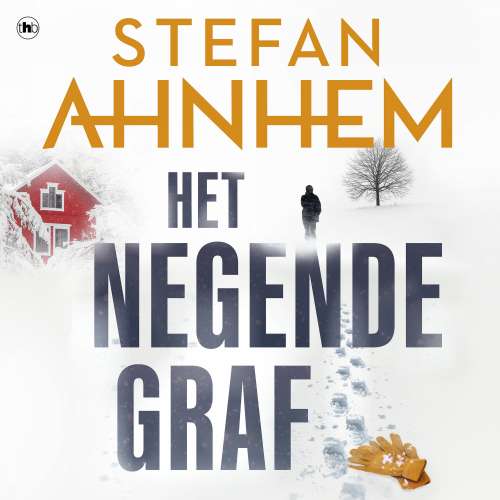 Cover von Stefan Ahnhem - Fabian Risk - Deel 2 - Het negende graf
