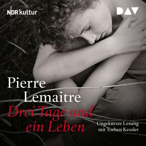 Cover von Pierre Lemaitre - Drei Tage und ein Leben