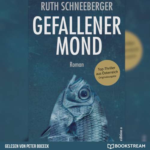 Cover von Ruth Schneeberger - Gefallener Mond - Roman