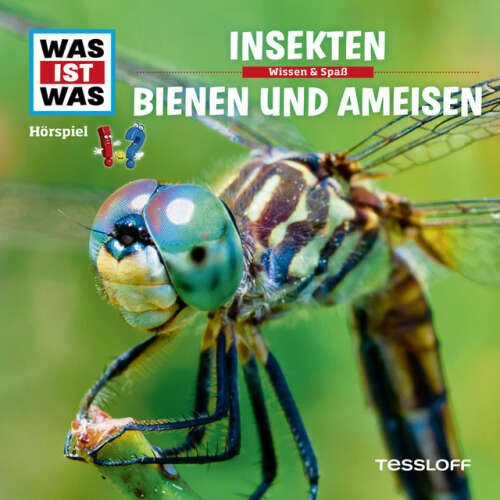 Cover von Was Ist Was - 37: Insekten / Bienen und Ameisen