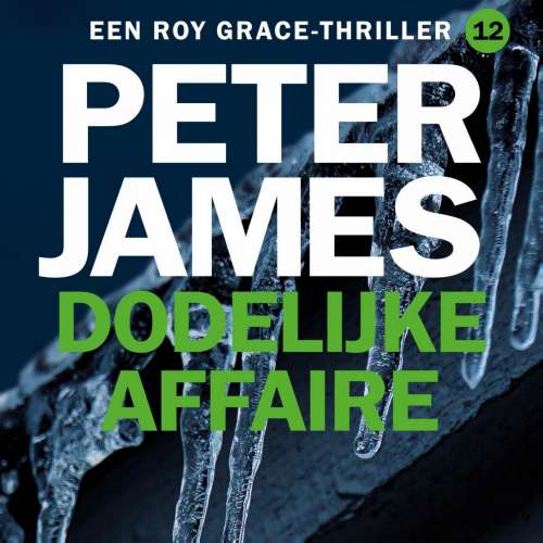Cover von Peter James - Roy Grace - Deel 12 - Dodelijke affaire