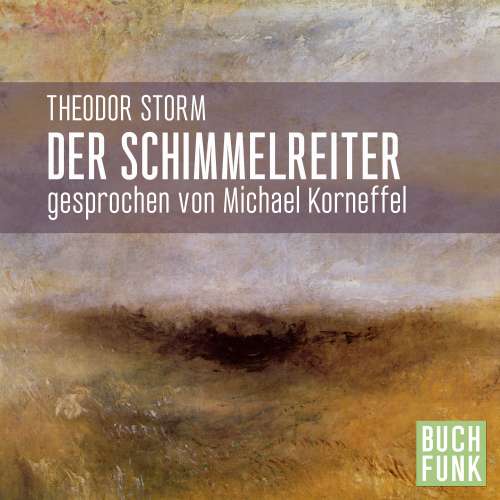 Cover von Theodor Storm - Der Schimmelreiter