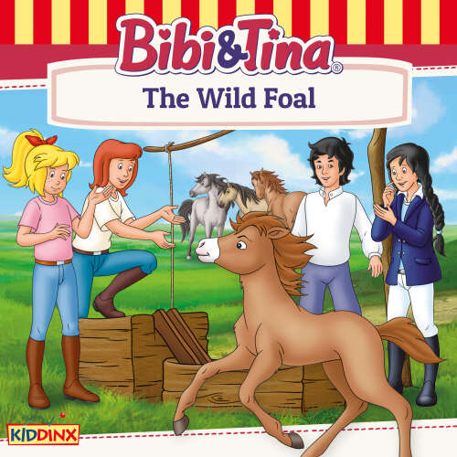 Cover von Bibi and Tina - The Wild Foal
