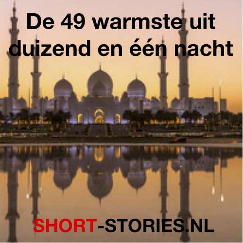 Cover von Diverse Auteurs - De 49 warmste uit duizend en één nacht