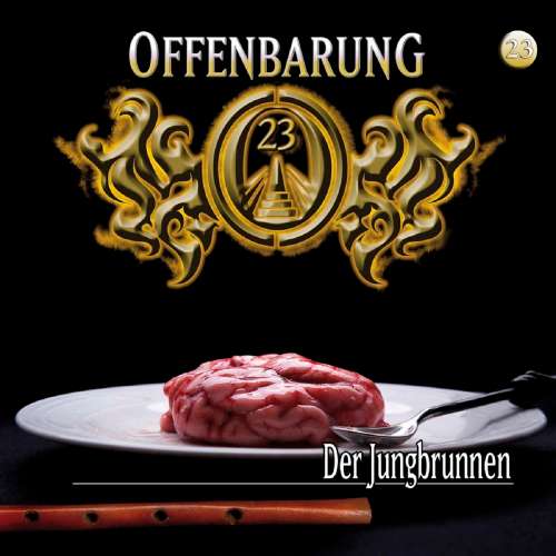 Cover von Offenbarung 23 - Folge 23 - Der Jungbrunnen