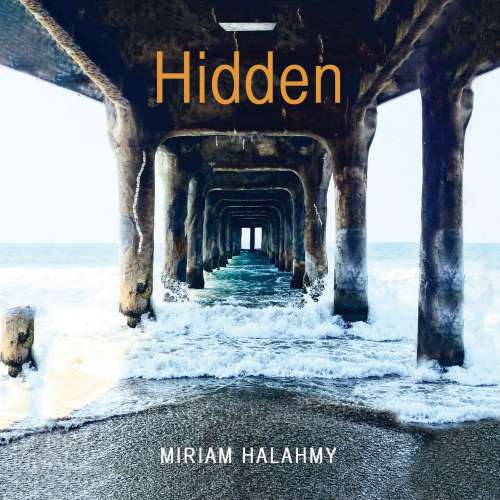 Cover von Miriam Halahmy - Hidden