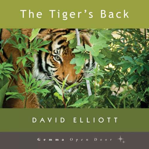 Cover von The Tiger's Back - The Tiger's Back