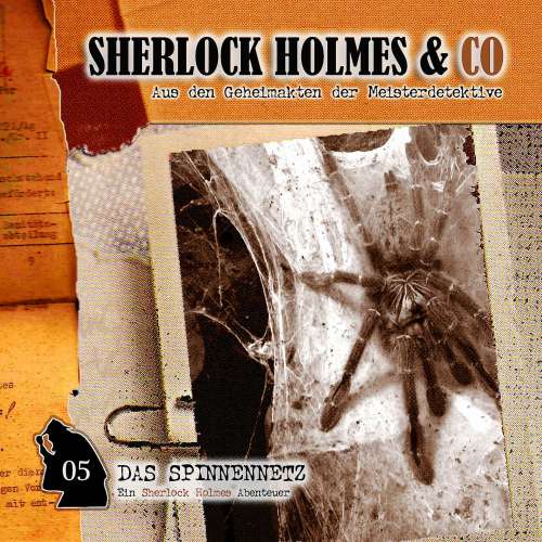 Cover von Markus Winter - Sherlock Holmes & Co - Folge 5 - Das Spinnennetz