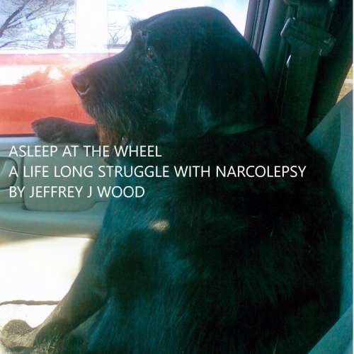 Cover von Jeffrey J Wood - Asleep at the Wheel - A life long Struggle with Narcolepsy