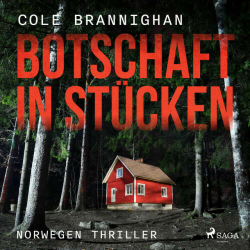 Cover von Cole Branninghan - Botschaft in Stücken: Norwegen-Thriller