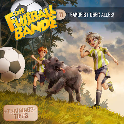 Cover von Die Fussballbande - Folge 11 - Teamgeist über alles!