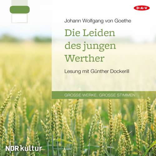 Cover von Johann Wolfgang von Goethe - Die Leiden des jungen Werther