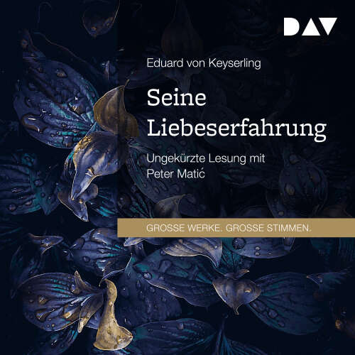 Cover von Eduard von Keyserling - Seine Liebeserfahrung