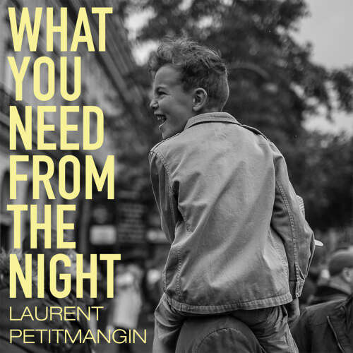 Cover von Laurent Petitmangin - What You Need From The Night