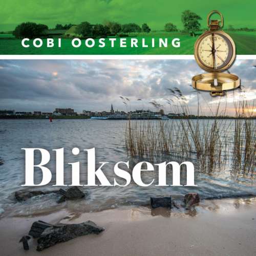 Cover von Cobi Oosterling - Bliksem