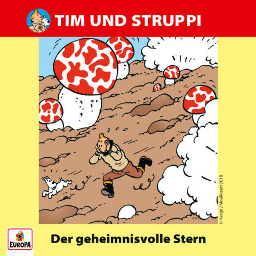 Cover von Tim & Struppi - 012/Der geheimnisvolle Stern