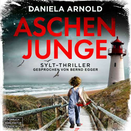 Cover von Daniela Arnold - Aschenjunge