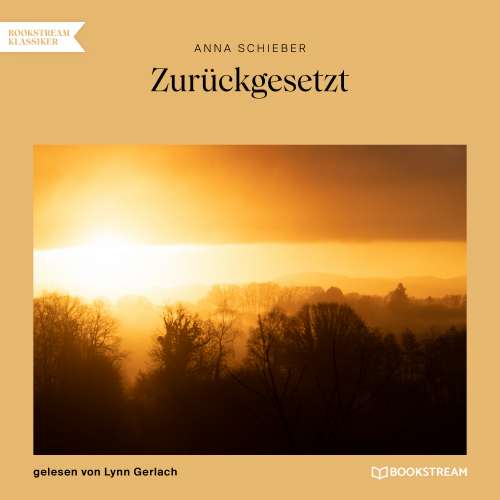 Cover von Anna Schieber - Zurückgesetzt