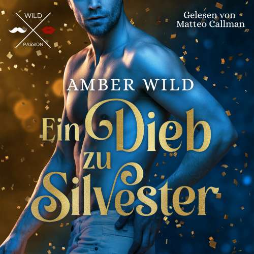 Cover von Amber Wild - Ein Dieb zu Silvester - Humorvolle Gay Romance zu Weihnachten