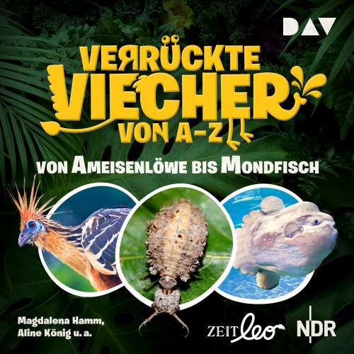 Cover von Magdalena Hamm - Verrückte Viecher von A bis Z - Teil 1: Von Ameisenlöwe bis Mondfisch