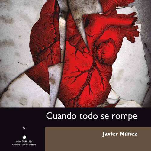 Cover - Javier Núñez - Cuando todo se rompe