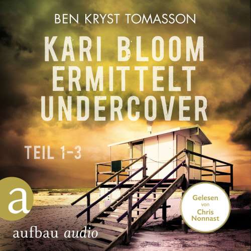 Cover von Ben Kryst Tomasson - Kari Blom ermittelt undercover - Teil 1-3