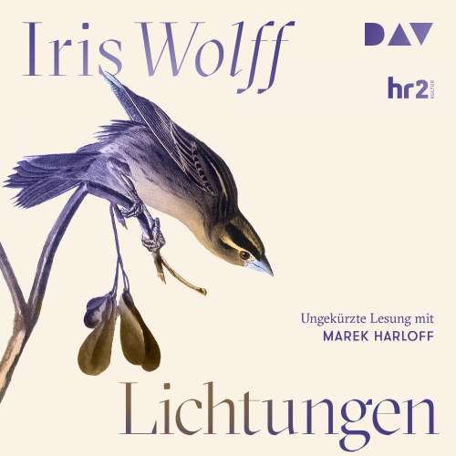 Cover von Iris Wolff - Lichtungen