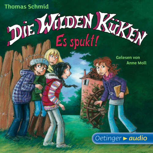Cover von Thomas Schmid - Die Wilden Küken 4. Es spukt! (Gekürzte Lesung)