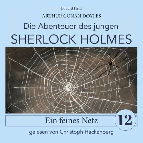 Cover von Sir Arthur Conan Doyle - Die Abenteuer des jungen Sherlock Holmes - Folge 12 - Sherlock Holmes: Ein feines Netz