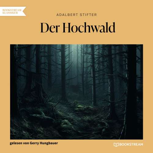 Cover von Adalbert Stifter - Der Hochwald