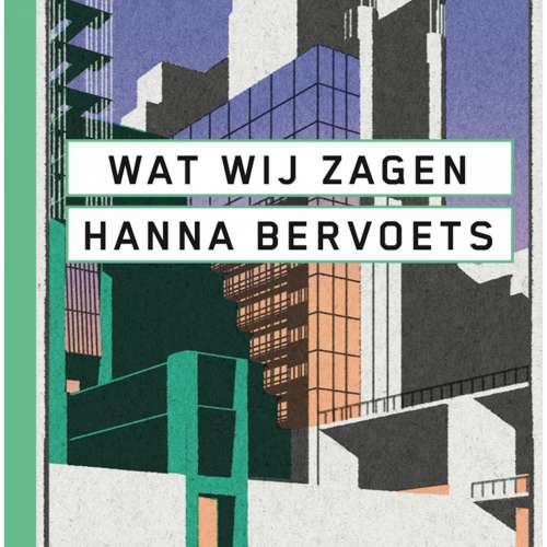 Cover von Hanna Bervoets - Wat wij zagen