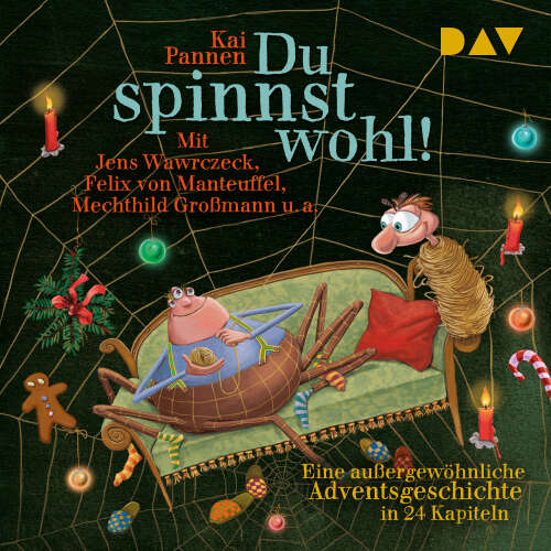 Cover von Kai Pannen - Du spinnst wohl! Eine außergewöhnliche Adventsgeschichte in 24 Kapiteln