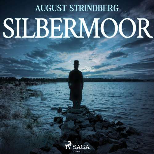 Cover von August Strindberg - Das Silbermoor