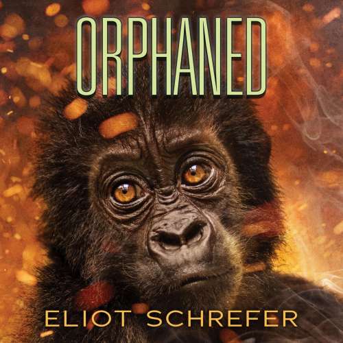 Cover von Eliot Schrefer - Ape Quartet 4 - Orphaned