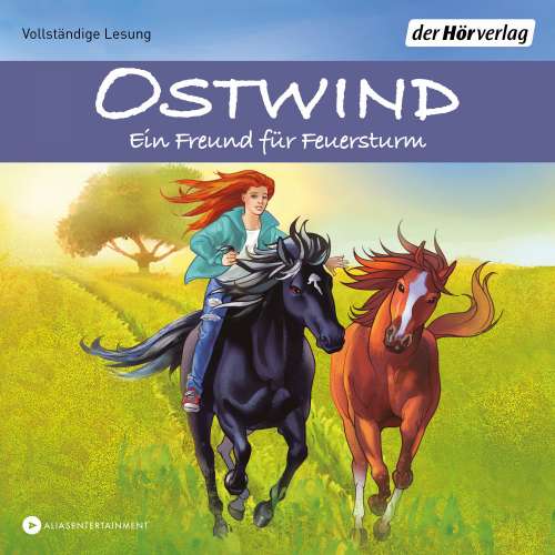 Cover von Rosa Schwarz - Die Ostwind-Abenteuer-Reihe - Band 3 - Ein Freund für Feuersturm