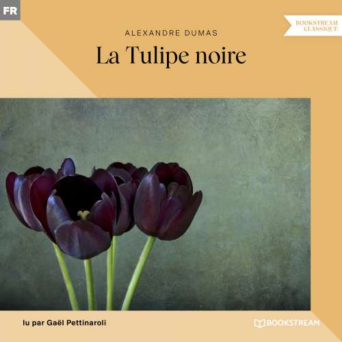 Cover von Alexandre Dumas - La Tulipe noire