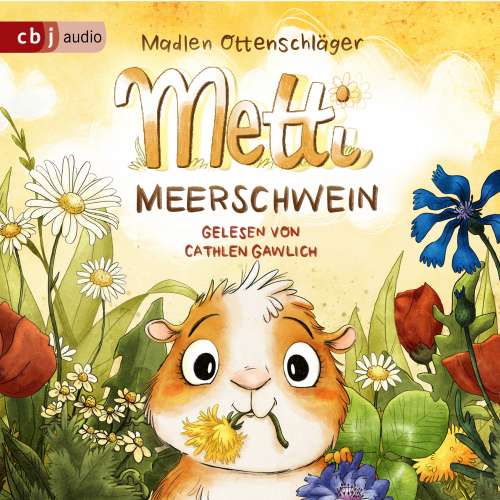Cover von Madlen Ottenschläger - Metti Meerschwein - Metti Meerschwein und das große Abenteuer