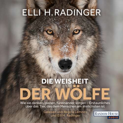 Cover von Elli H. Radinger - Die Weisheit der Wölfe - Wie sie denken, planen, füreinander sorgen. Erstaunliches über das Tier, das dem Menschen am ähnlichsten ist