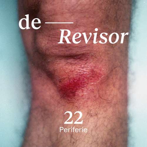 Cover von De Revisor - 22 - Periferie