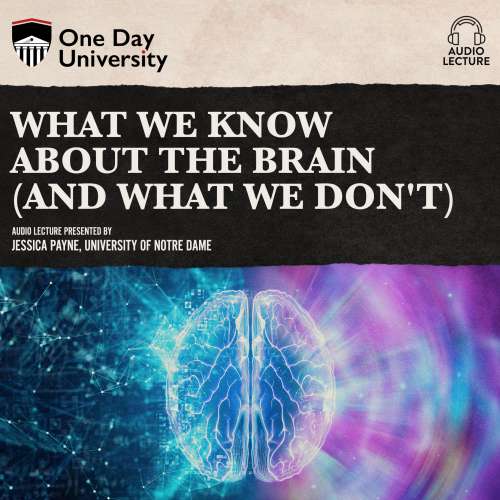 Cover von Jessica Payne - What We Know About the Brain (and What We Don't)