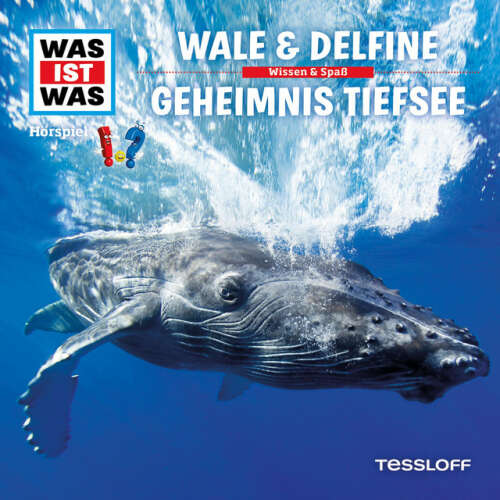 Cover von Was Ist Was - 13: Wale & Delfine / Geheimnis Tiefsee
