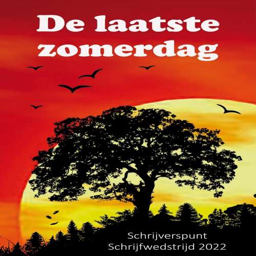 Cover von Marsha van Zanten - De laatste zomerdag - Schrijverspunt schrijfwedstrijd 2022